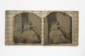 Photograph, ambrotype photograph Image preview